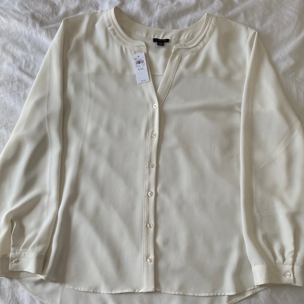 Ann Taylor Silk Top